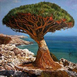 An oil painting on canvas of the Dragon’s Blood Tree in Socotra, measuring 122 × 80 cm, by the visual artist Adnan Jaman.