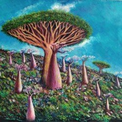 An oil painting on canvas of the Dragon Blood Tree in Socotra, size 50x50, by the distinguished Yemeni artist Wissam Al-Ansi.