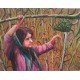 An oil painting on canvas of The Corn Girl by the distinguished Yemeni artist Wissam Al-Ansi.